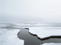 Tæt på danske nutidsfotografier