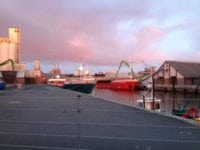 Morgenbillede fra Næstved Havn