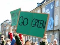 Region Sjælland samarbejder med OECD om tværgående grøn klimaregion