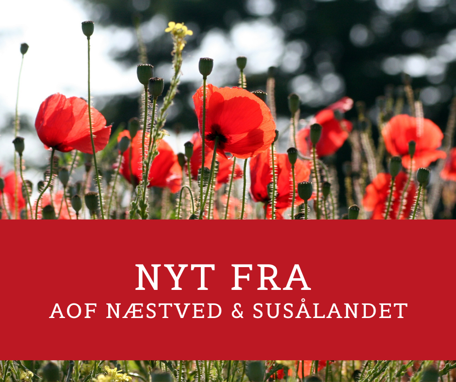 Sommer hos AOF Næstved & Susålandet