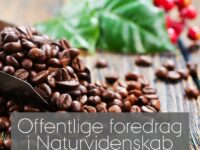 Kaffe – tre forskere fortæller