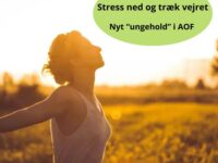 Angst og stress er stigende hos unge