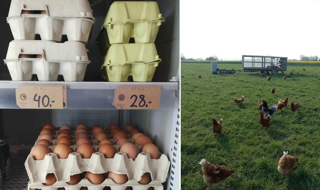 Kløverbakkens Gårdbutik har tilbud på hønnike-æg!