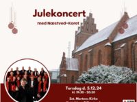 Kom med til en stemningsfuld Julekoncert med Næstved-Koret