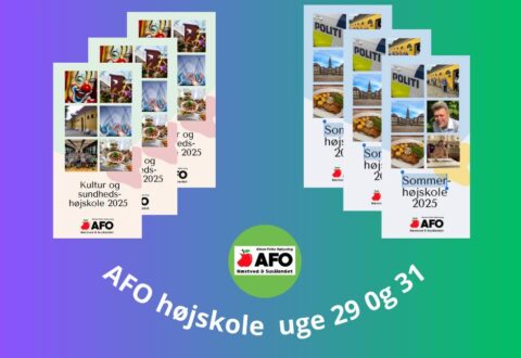 Sommerhøjskole i AFO Næstved 2025 – To uger, to temaer, masser af oplevelser!